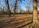 11 acres in Titus County