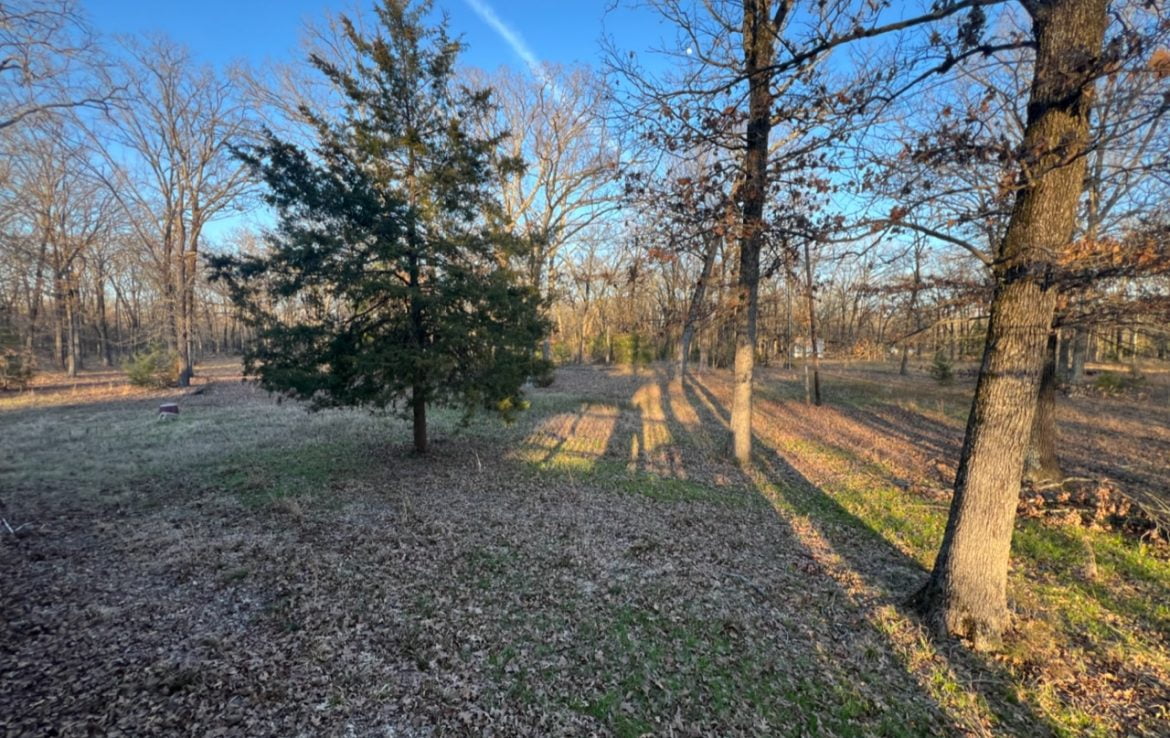 11 acres in Titus County