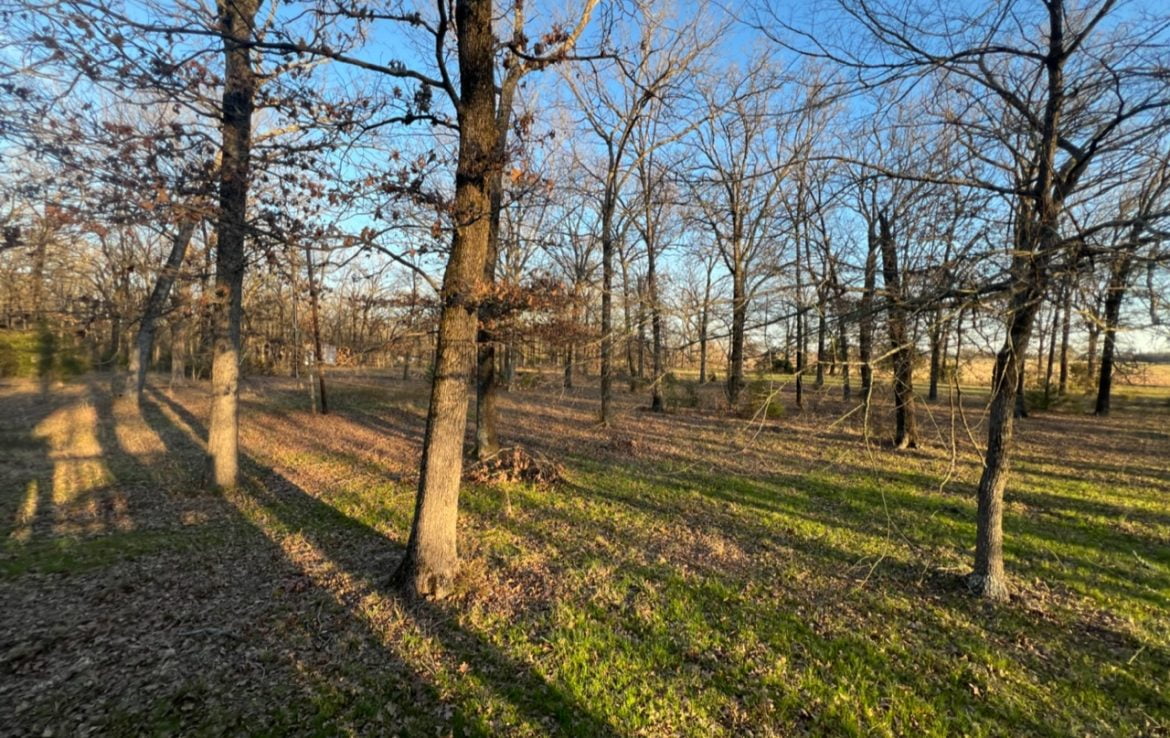 11 acres in Titus County