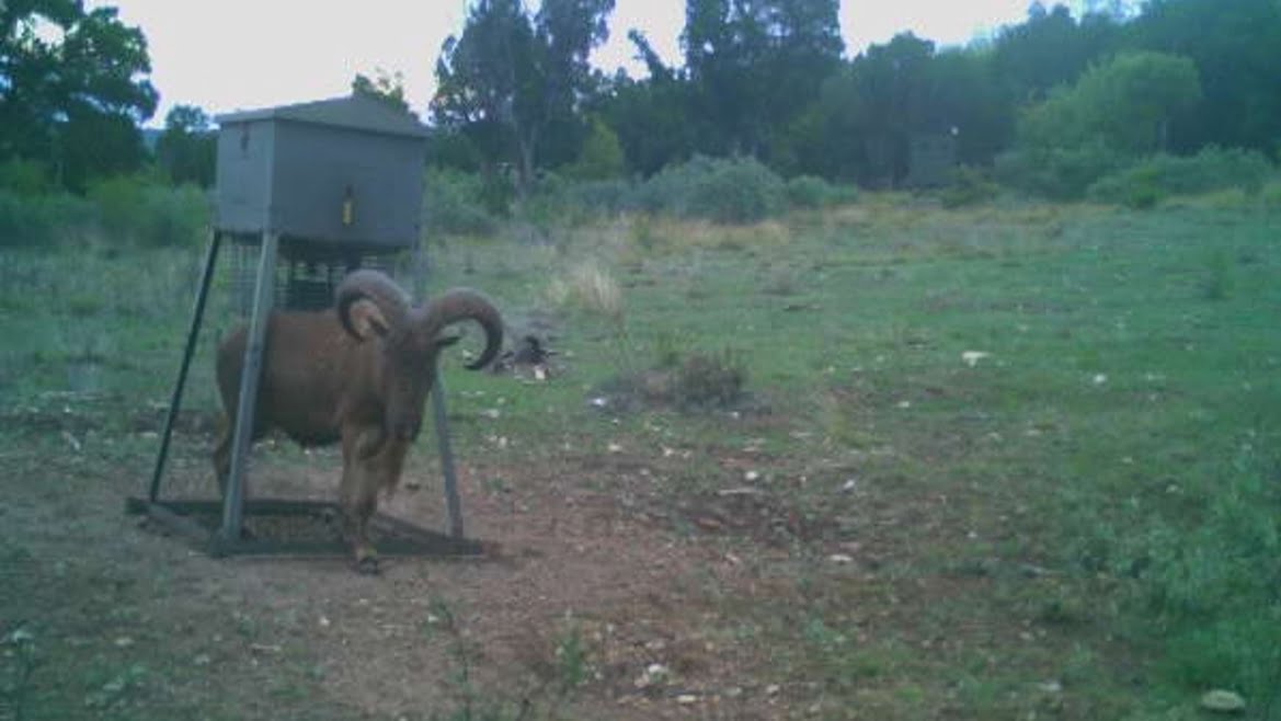 100 acres in Taylor County