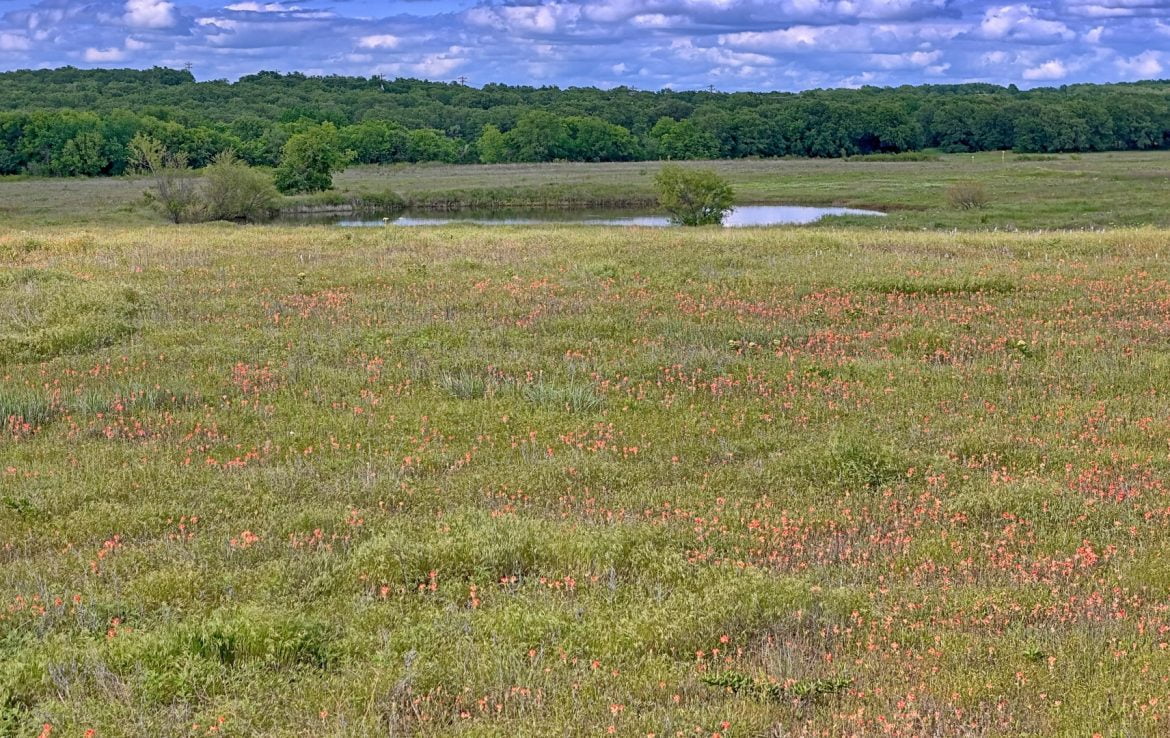 71 acres in Montague County