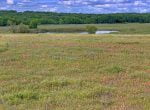 71 acres in Montague County