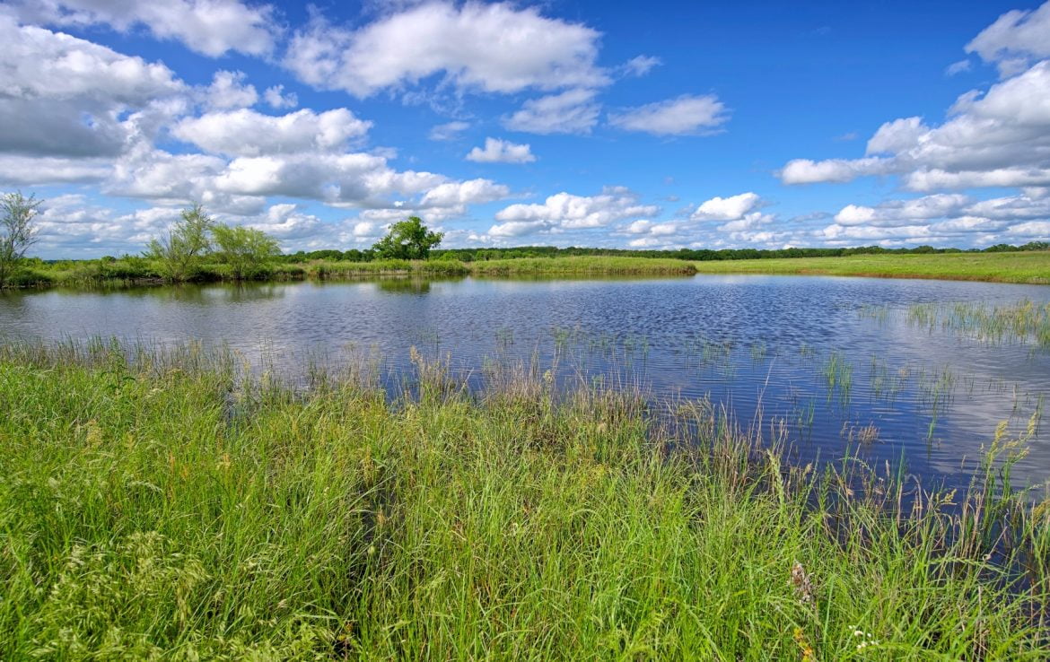 71 acres in Montague County