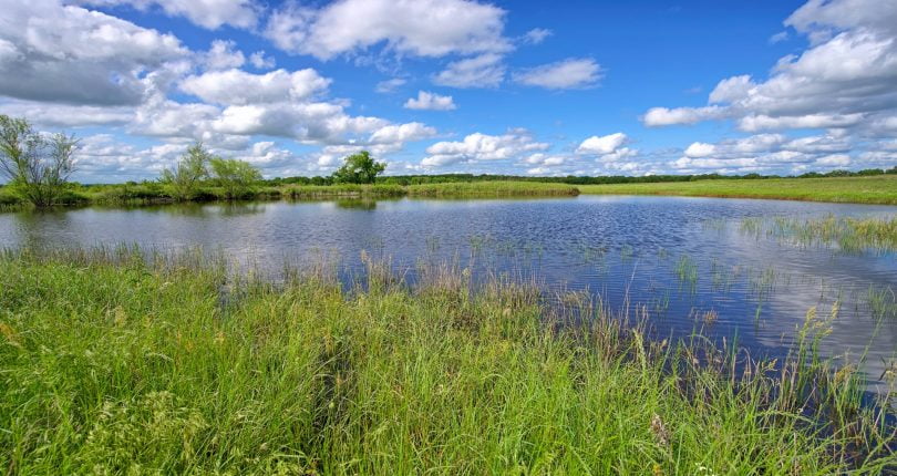 71 acres in Montague County