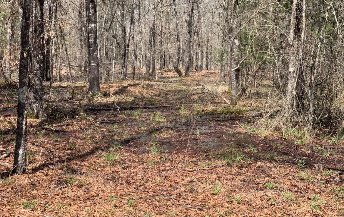 28 acres in Red River County