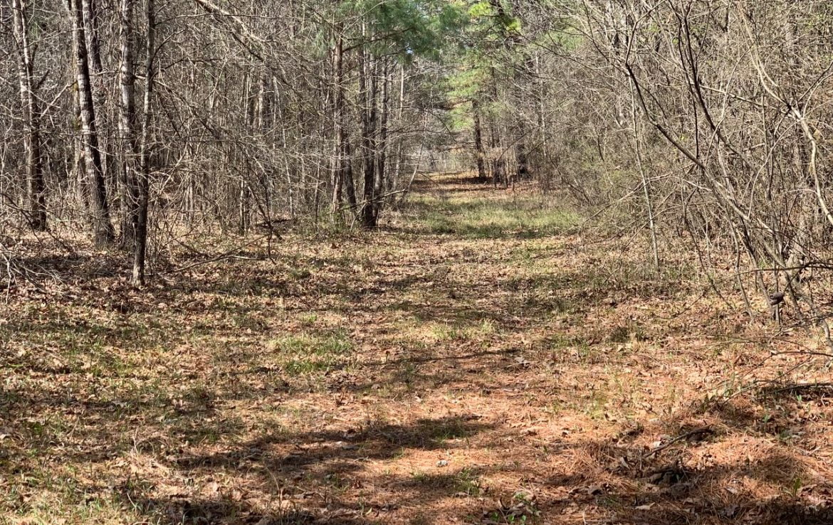 28 acres in Red River County