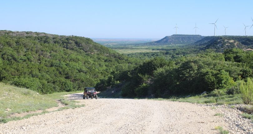 150 acres in Taylor County