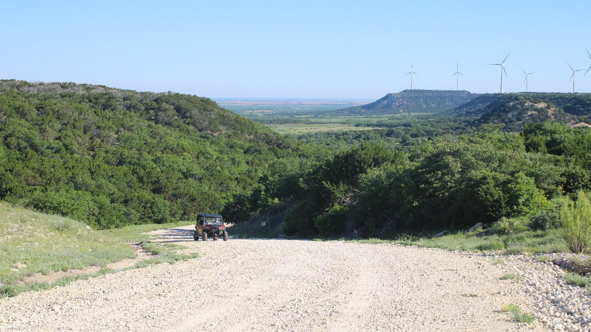 150 acres in Taylor County