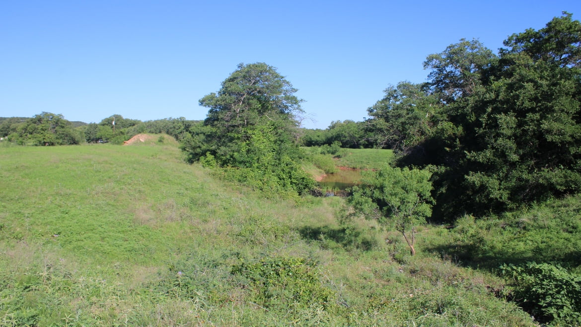 150 acres in Taylor County