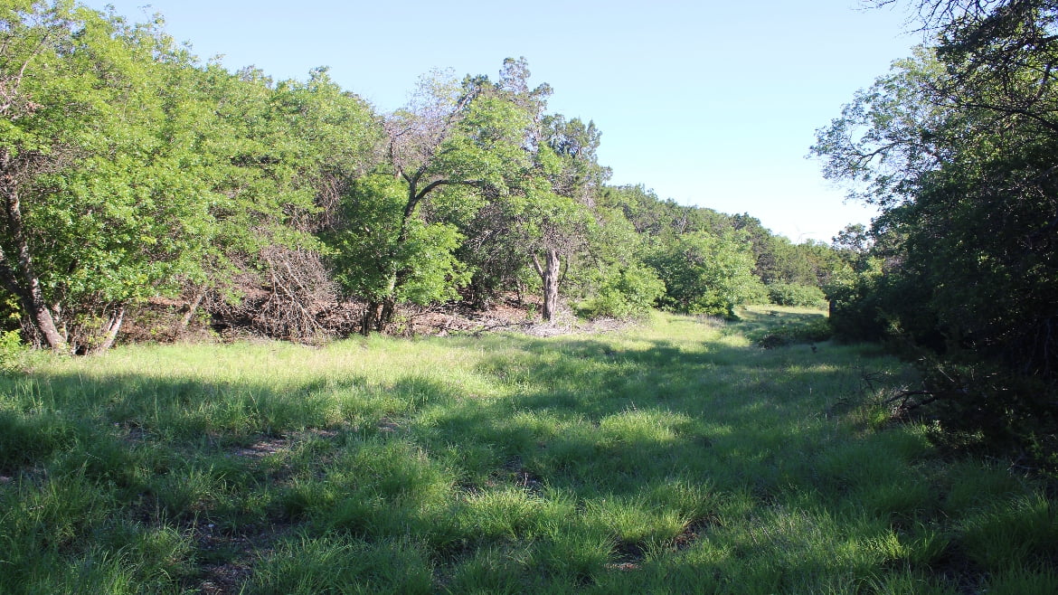 150 acres in Taylor County