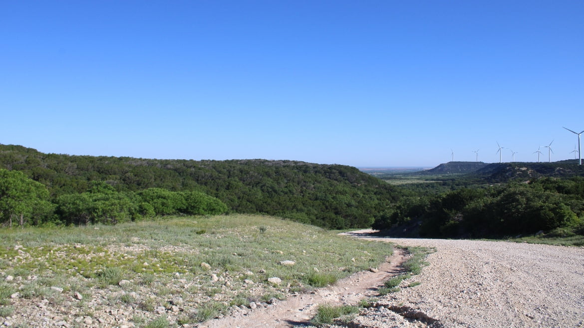 150 acres in Taylor County