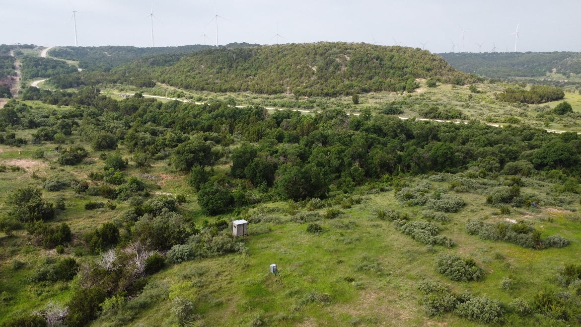 150 acres in Taylor County