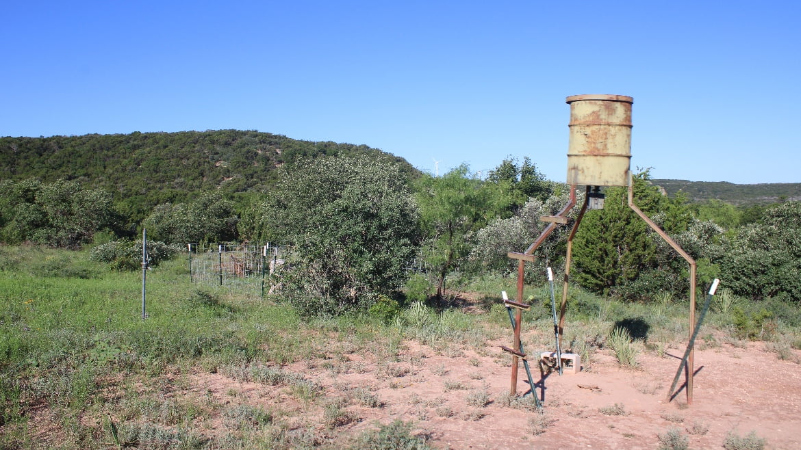 150 acres in Taylor County