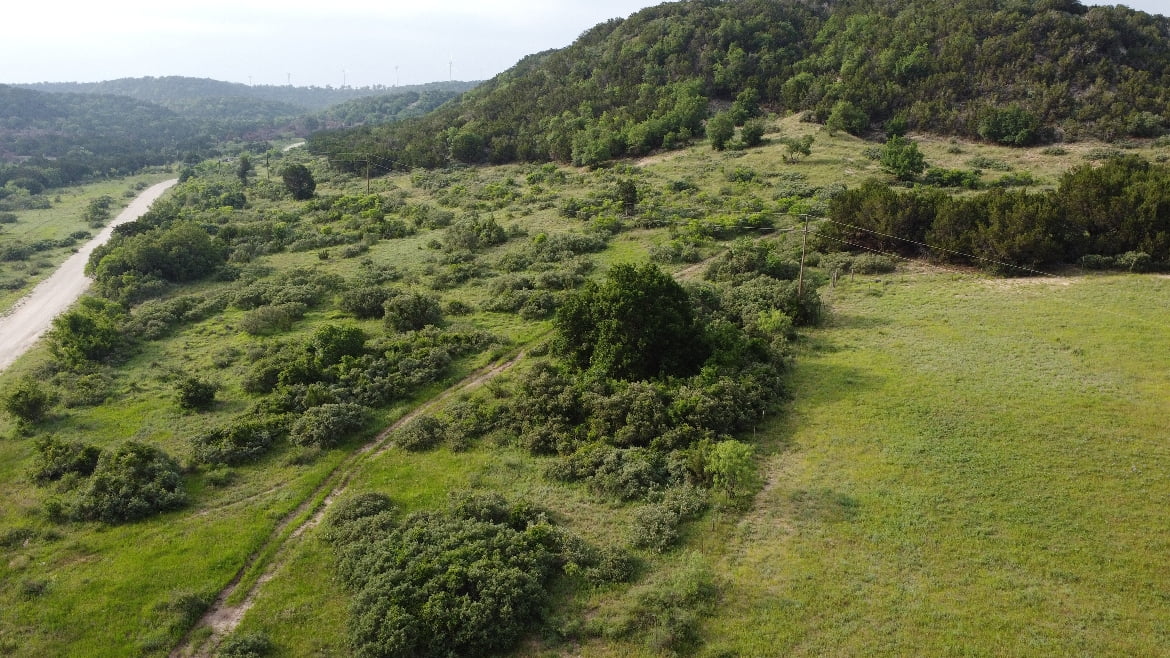 150 acres in Taylor County