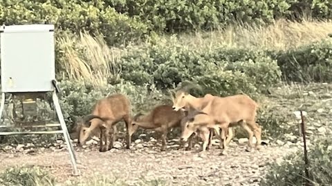 150 acres in Taylor County