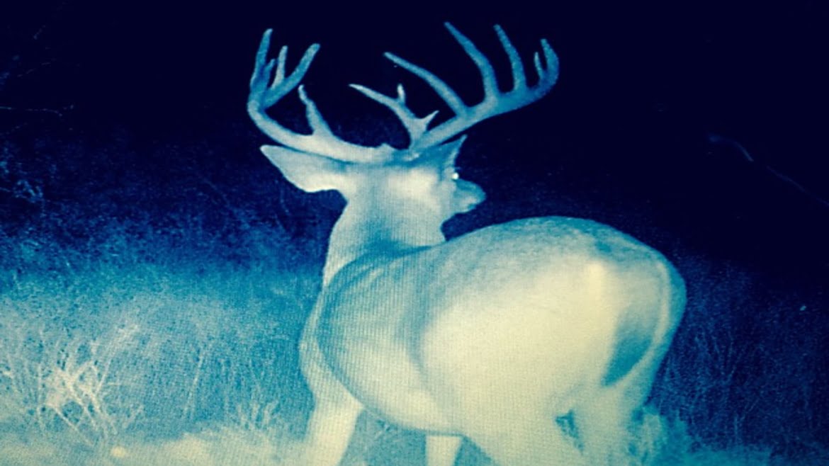 150 acres in Taylor County