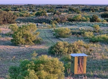 480 acres in Cottle County