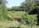 150 acres in Taylor County