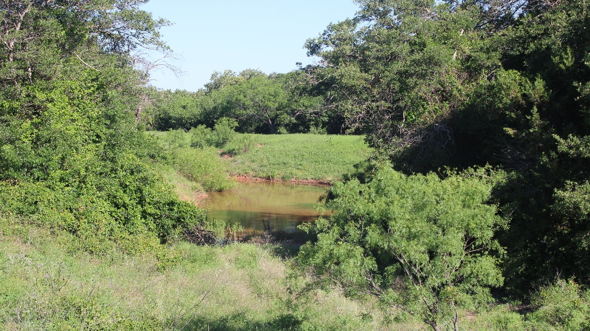 150 acres in Taylor County