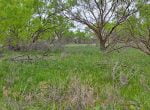 640 acres in Baylor County