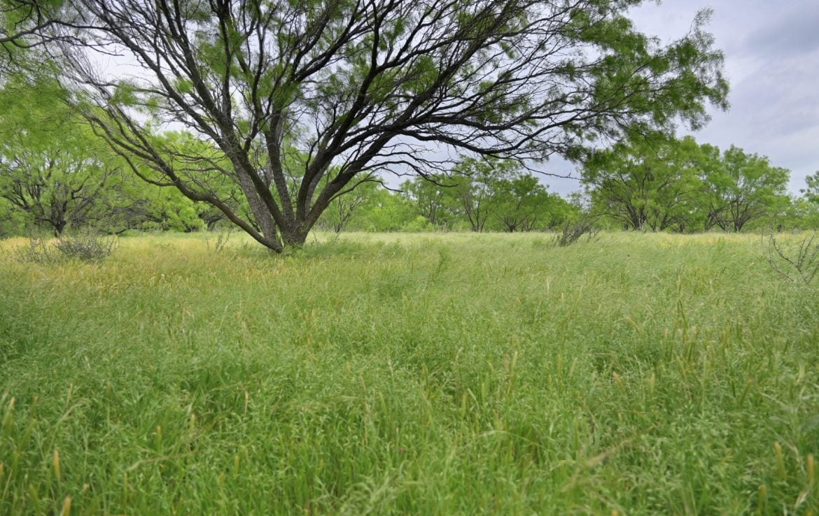 640 acres in Baylor County