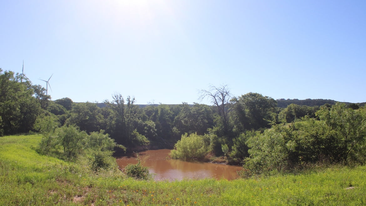 150 acres in Taylor County