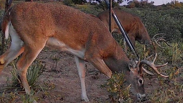 480 acres in Cottle County