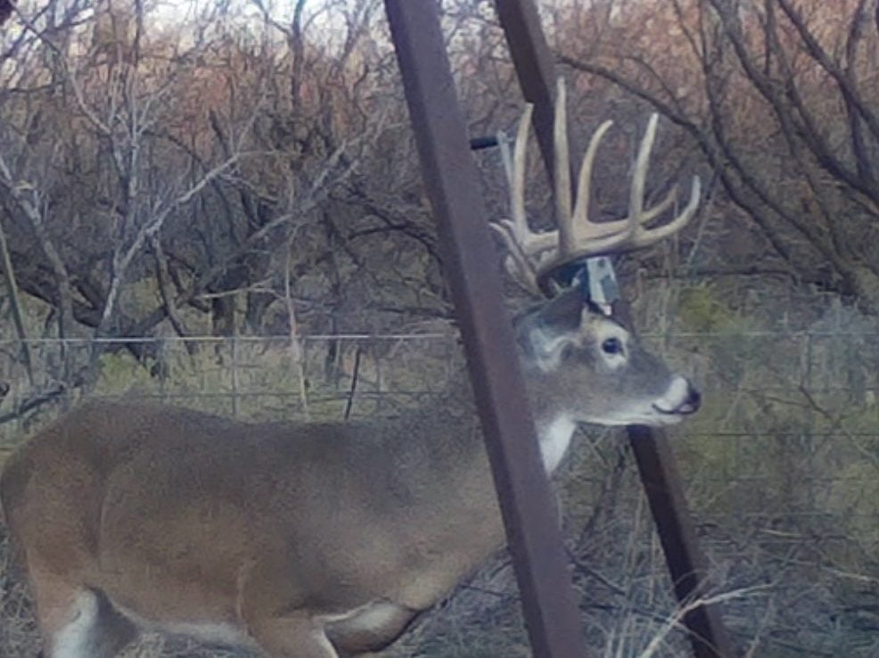 640 acres in Baylor County