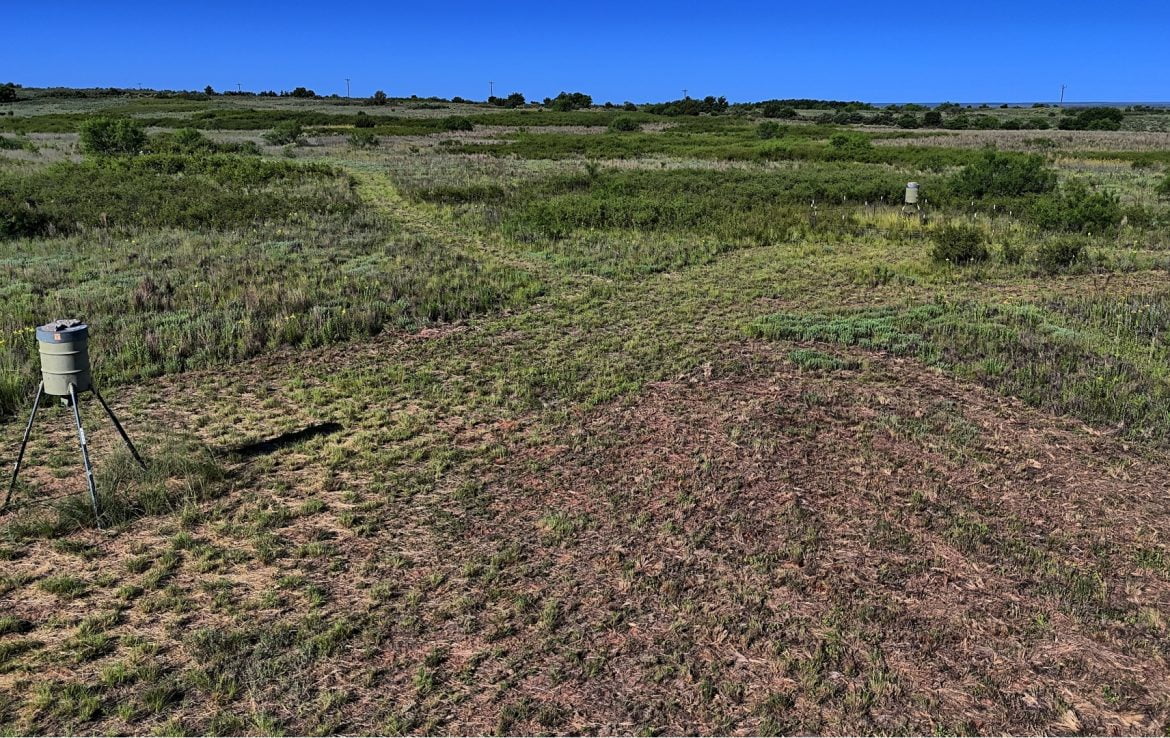 480 acres in Cottle County