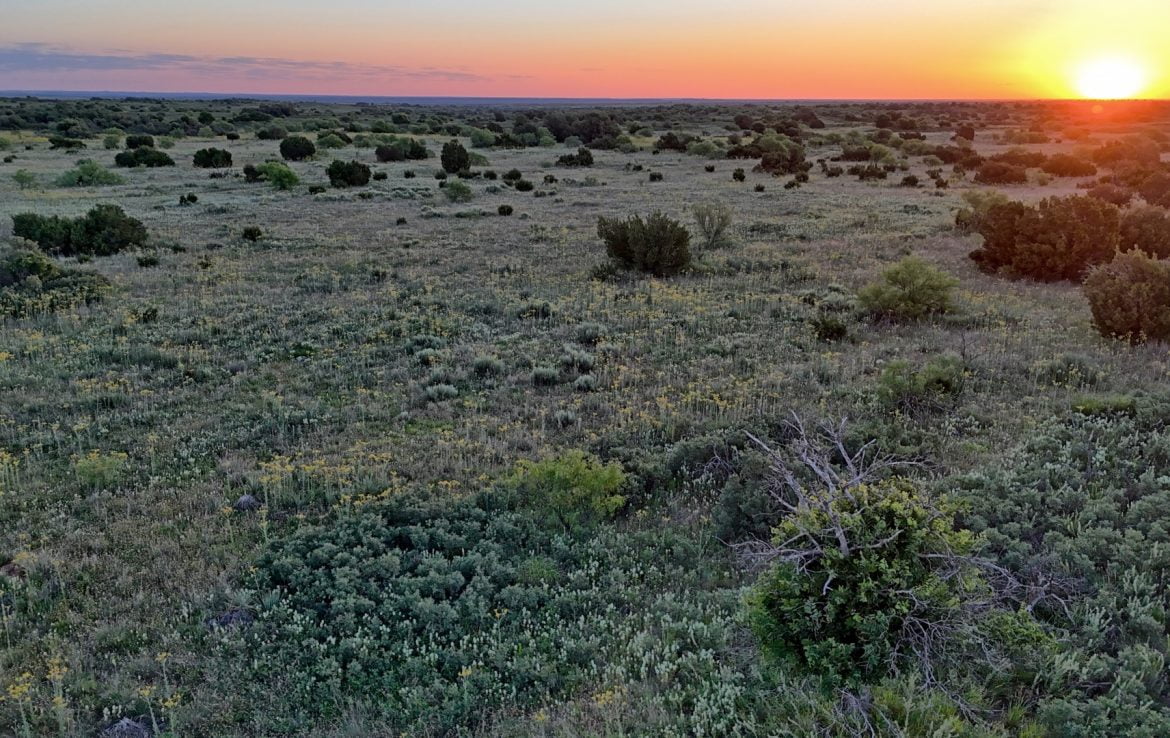 480 acres in Cottle County