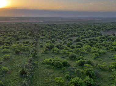 823 acres in Hardeman County