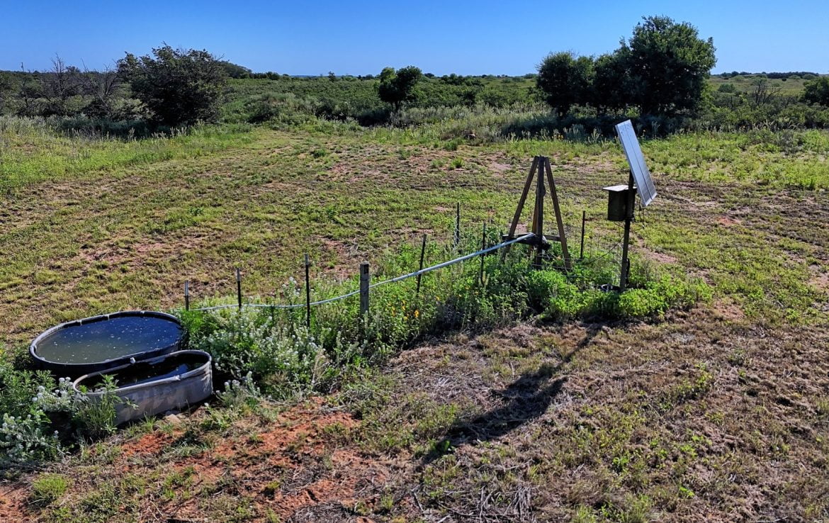 480 acres in Cottle County