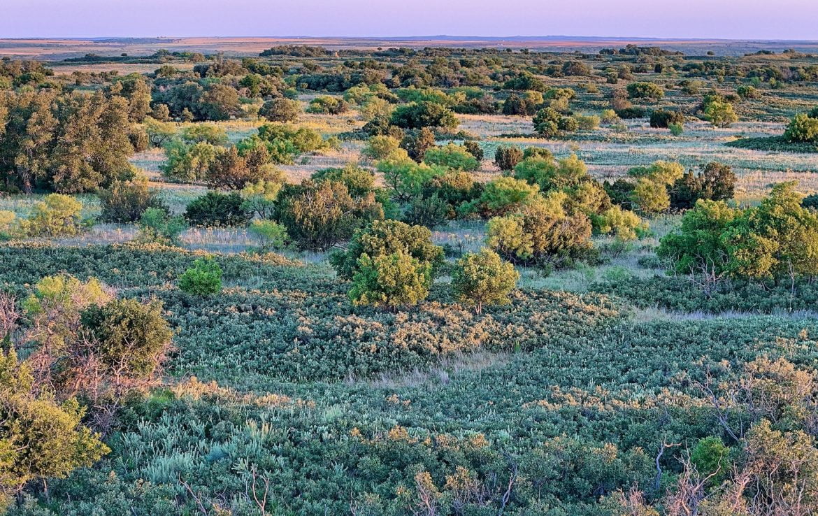 480 acres in Cottle County