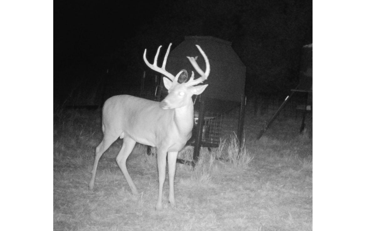 480 acres in Cottle County