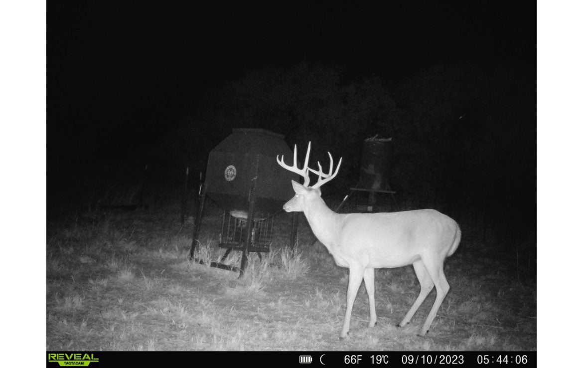 480 acres in Cottle County