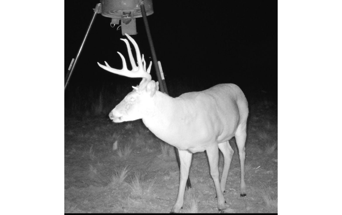 480 acres in Cottle County