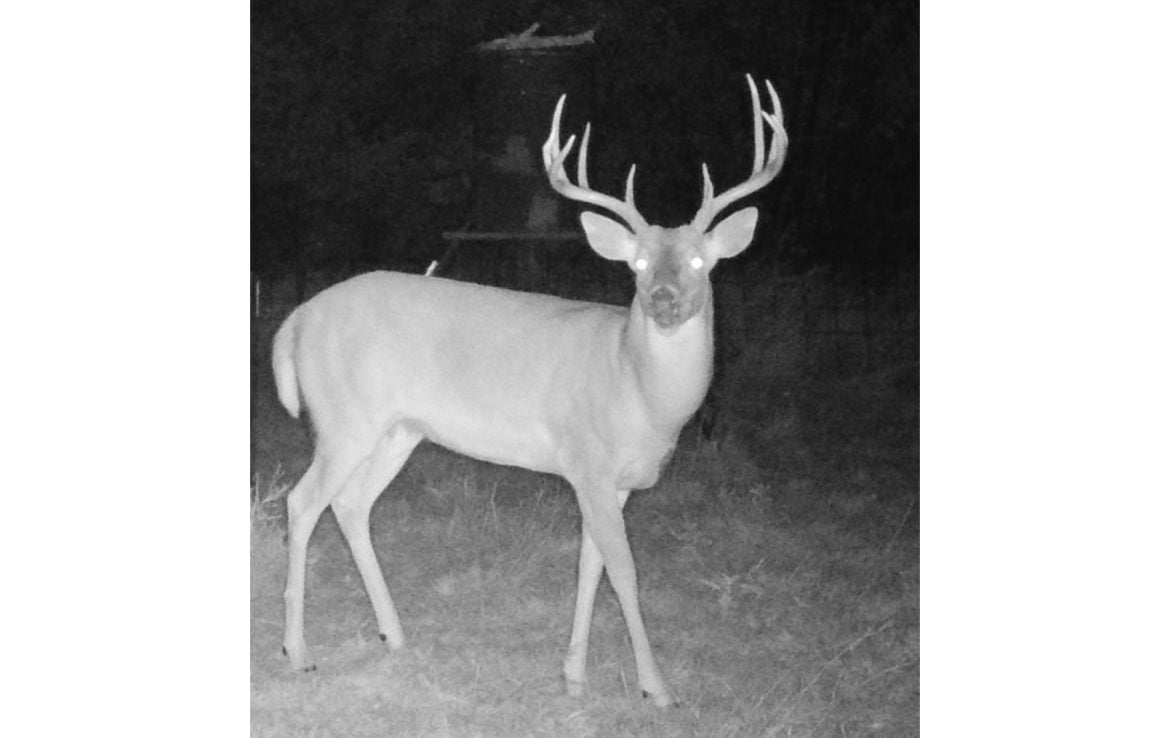 480 acres in Cottle County