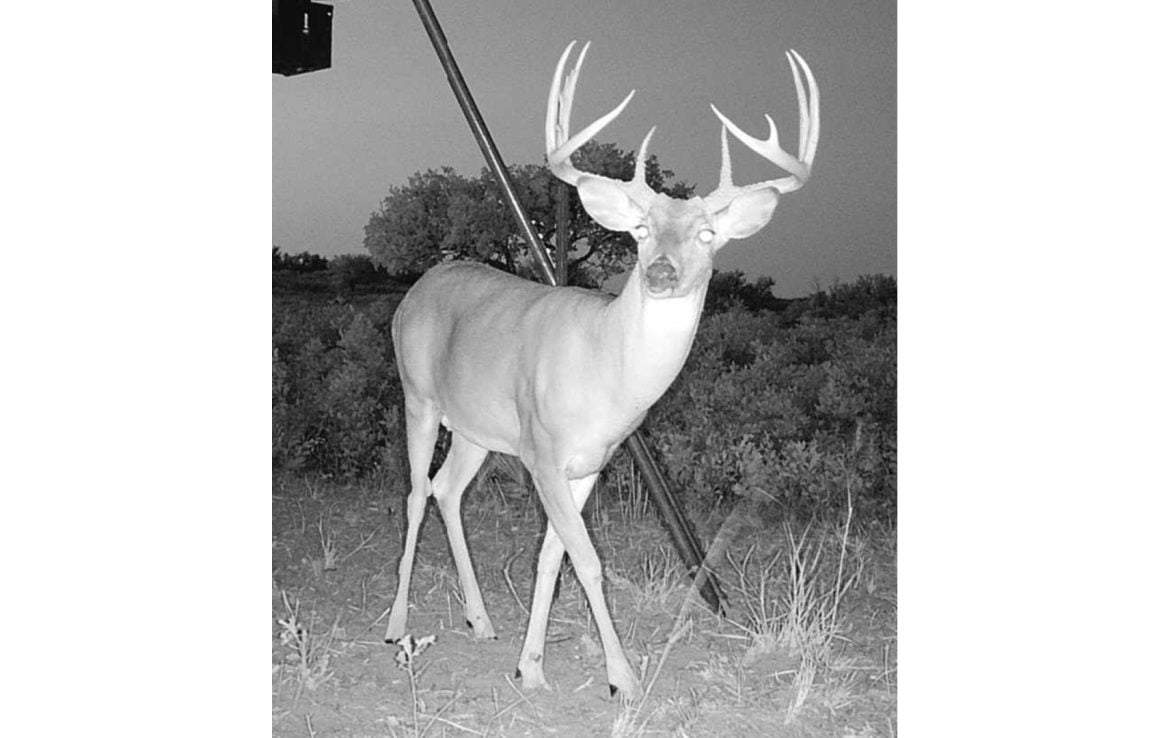 480 acres in Cottle County