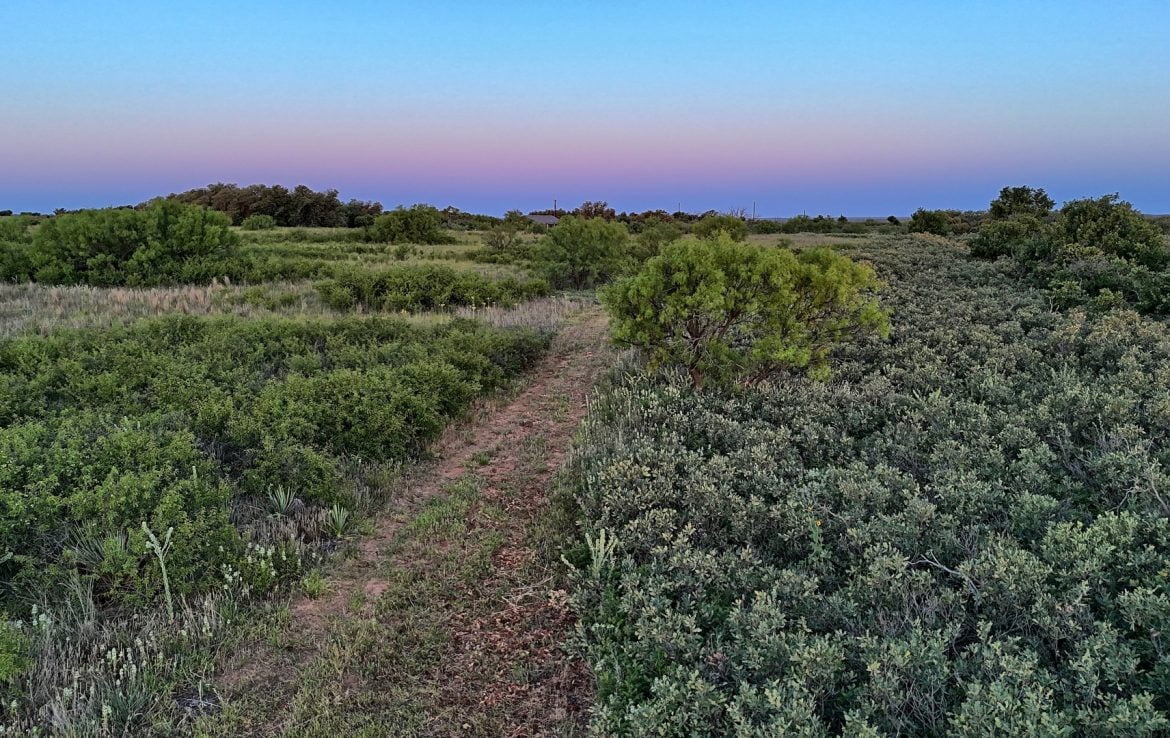 480 acres in Cottle County
