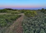 480 acres in Cottle County