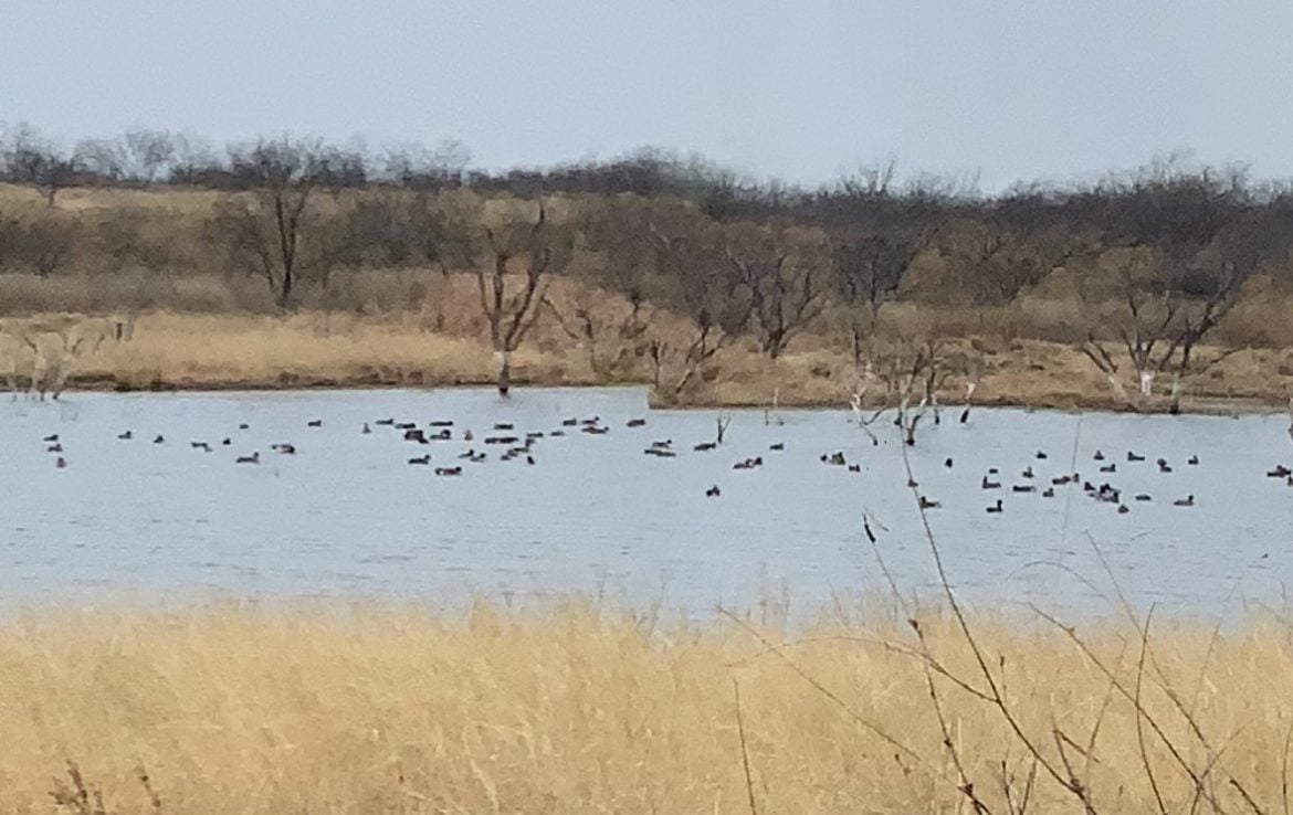 640 acres in Baylor County