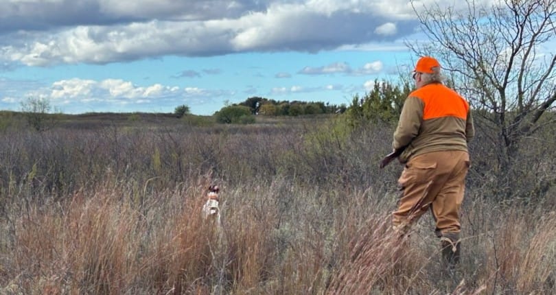 Ultimate Guide to Recreational Land Management