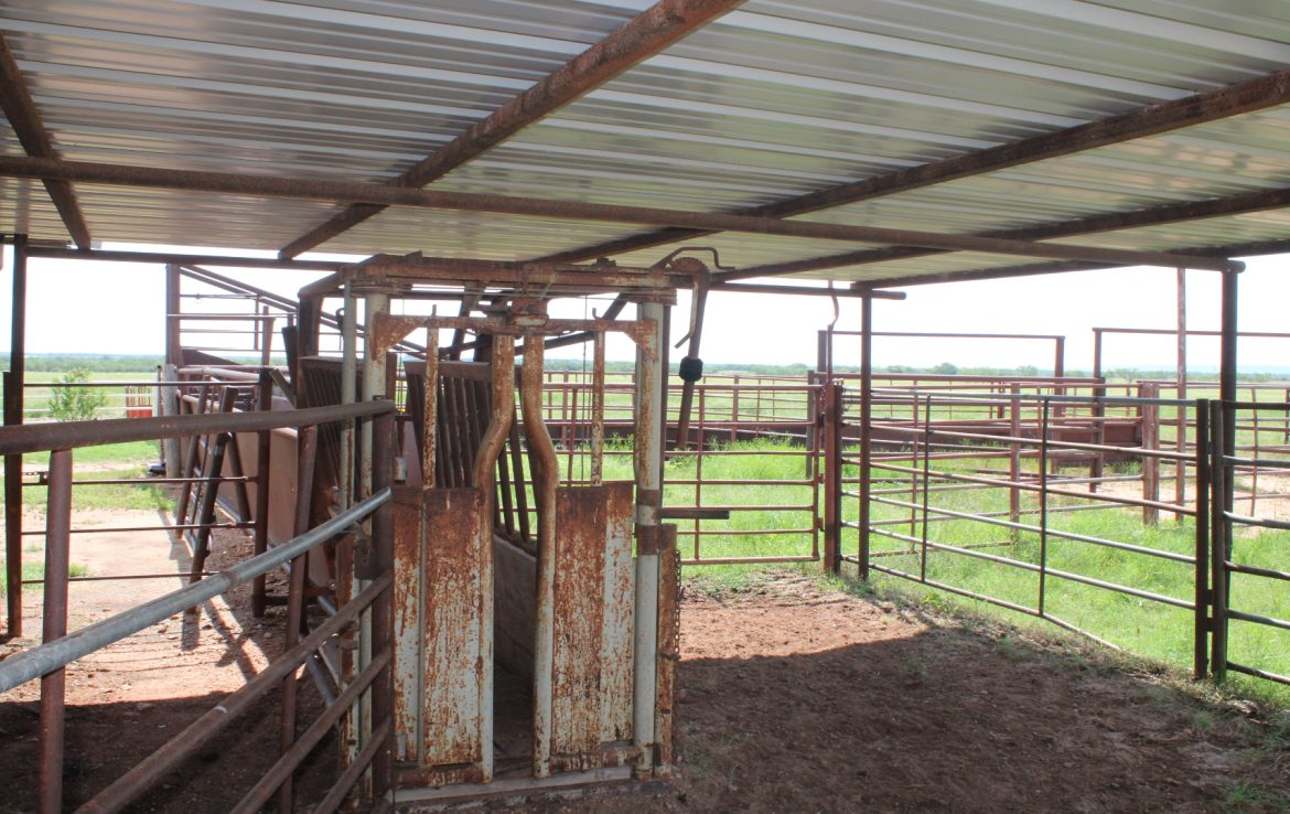 100 acres in Taylor County