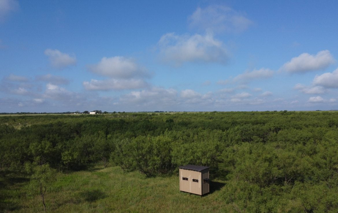 100 acres in Taylor County