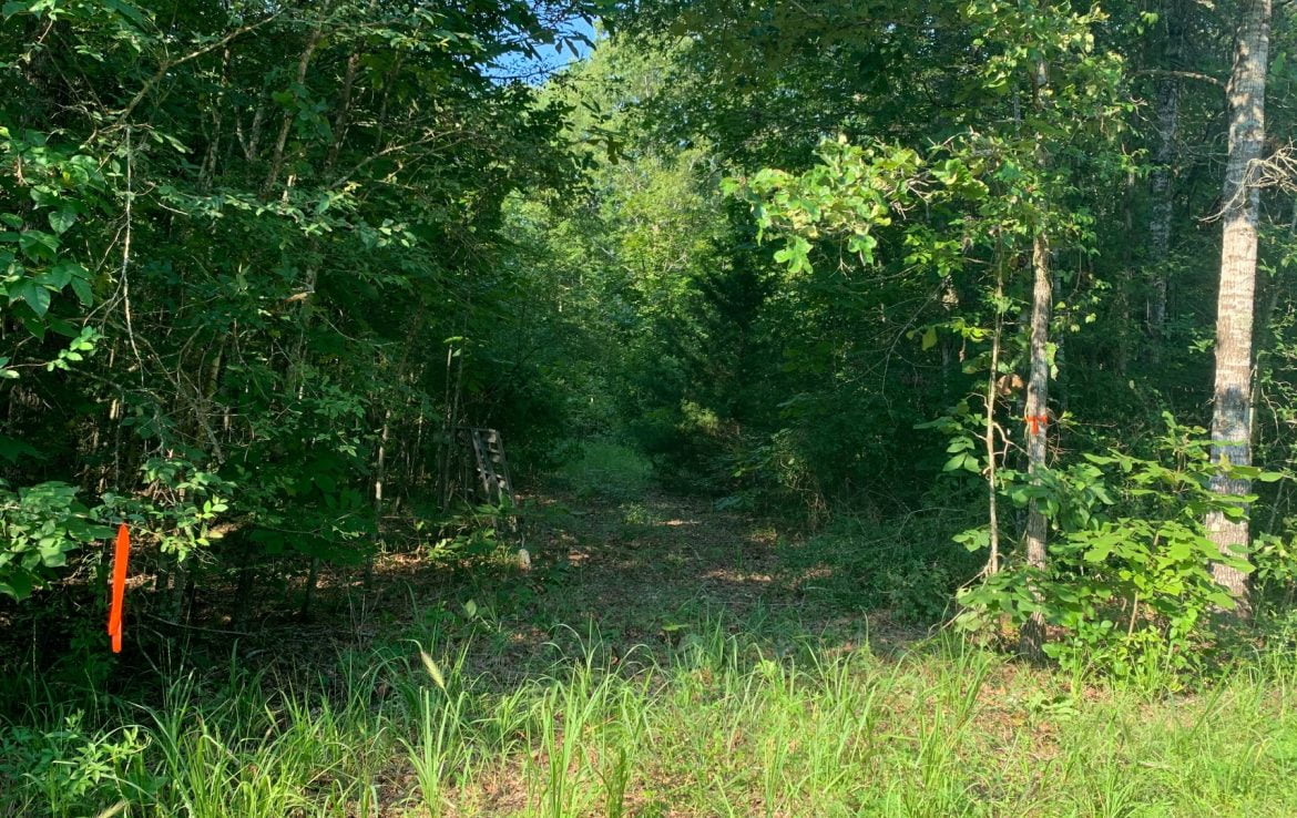 50 acres in Red River County