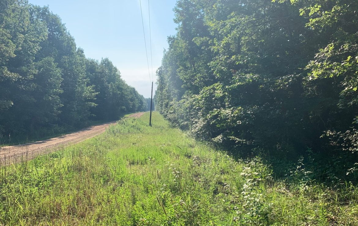 50 acres in Red River County