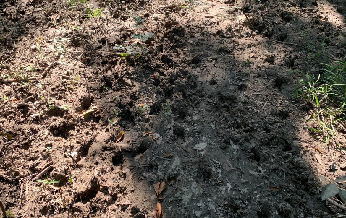 50 acres in Red River County