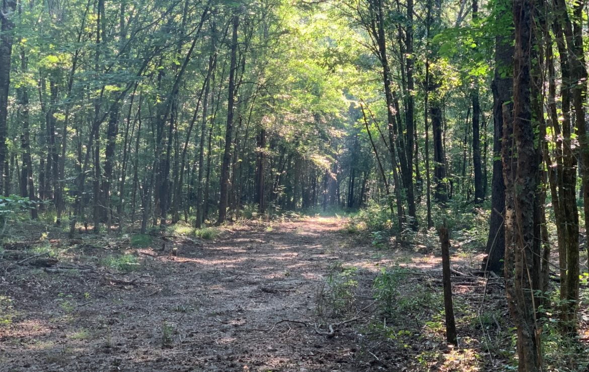 50 acres in Red River County