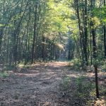 50 acres in Red River County