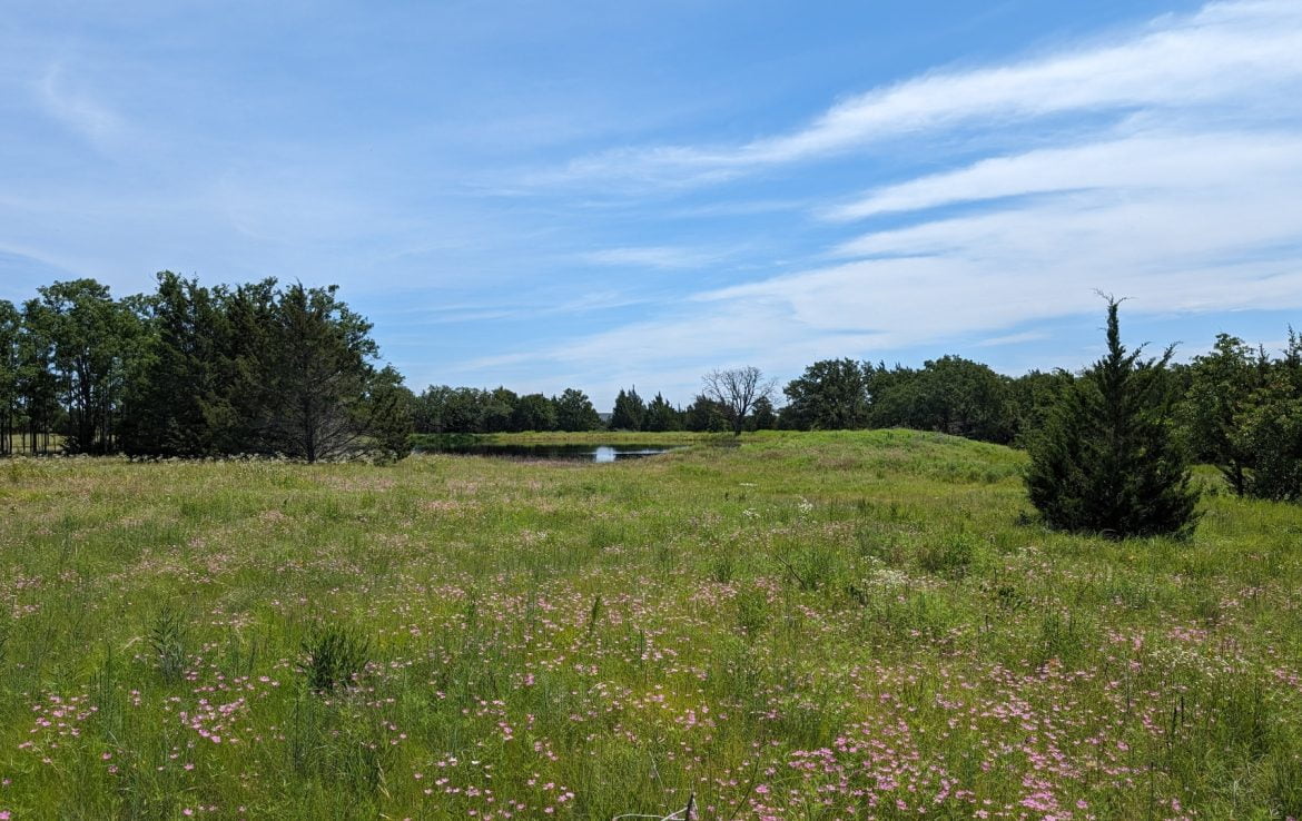 11 acres in Montague County